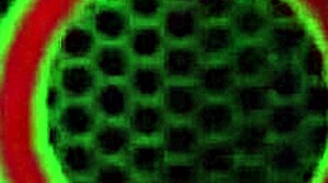 horny bbws sophie dee dive into big tits lesbian action with muff diving and wet pussy licking. fat asses grind in lingerie at the party.