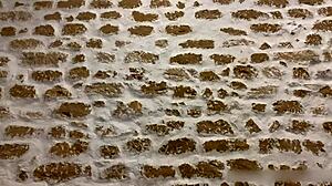 Ai văzut vreodată Tommy Cabrio bătând-o pe Apolonia Lapiedra în clipuri de sex dur?