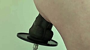 Kæmpe sort dildo smadrer fra siden på vild kneppe maskine