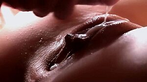 Naredil sem, da je dostavljalec sesal moj seksi trans kurac