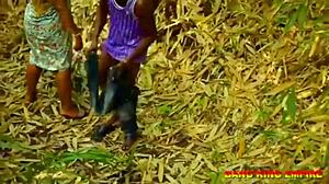 Bästa BBW afrikansk fru i bushknull