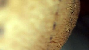 Hemlig hookup med svärfar: Tyst rövknullning risk