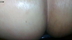 Svart chub dominerer hvit bjørn i rå intens knepping-sesjon