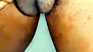 ראית פעם זין שעריר מוחבט במשחק מטבח פרוע?