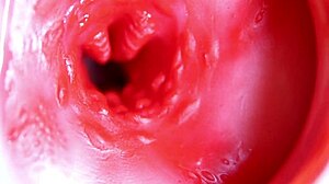 大红玩具插进多汁穴里随时要爆