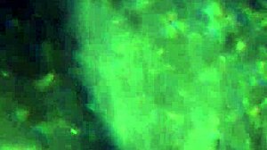 给你更多的精液