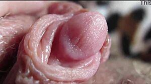 Kicsi Michy Perez szűk lyukait keményen és mélyen baszák