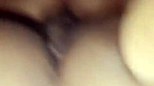 Tante Indonesia Haus Aksi Keras Setelah Lama Istirahat!