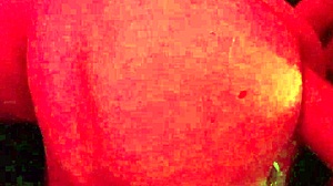 gay fffreitag sex anal assfucking hardcore action