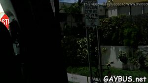 a gay weenie porn story