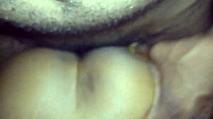 Bold Fucking of the Wife