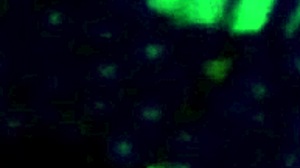 Yorgelis Kent and Erika Schwarzenberg in Passionate Venezuelan Encounter