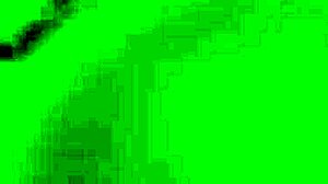 Gorgeous lesbians finger and lick each other's pussies intensely