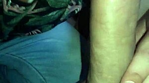 i sucked novim safado's small tits and gave blowjob