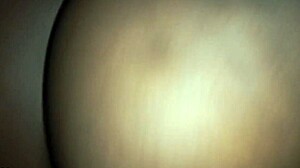 black woman deepthroats in homemade amateur scene?