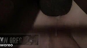 zafiro and aidan preview