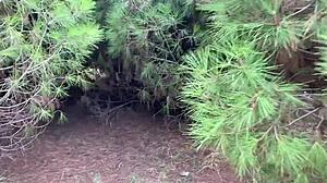 Gay Cruising Public Group Blowjobs With Cumshot Outdoor With Strangers Map Included