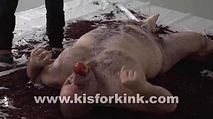 Celebrating national pig day with bdsm fetish!