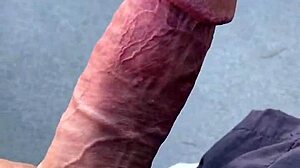 Hot day and Slobberpuss on it