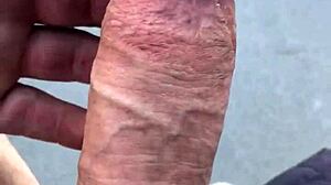 Hot day and Slobberpuss on it