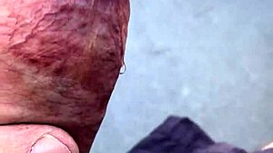 Hot day and Slobberpuss on it