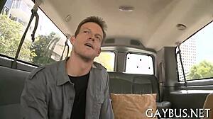 Detailed scenes of homosexual sex featuring passionate encounters between men in various positions and locations