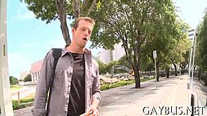 Detailed scenes of homosexual sex featuring passionate encounters between men in various positions and locations