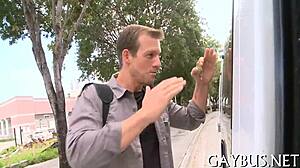 Detailed scenes of homosexual sex featuring passionate encounters between men in various positions and locations