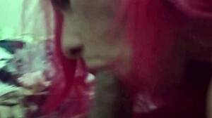 trans sucking big dick