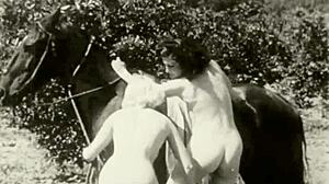 Vintage taboo hairy pussy pounded doggystyle outdoors