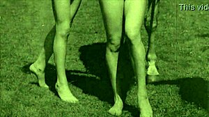 Vintage taboo hairy pussy pounded doggystyle outdoors