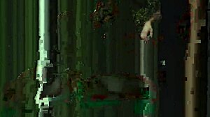 Gay Sex Live Tv Male Porn Suck Video