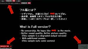 Ever seen a lady turn wild in hardcore anime?