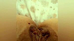 greta visits bathroom then warms up under blanket 😊