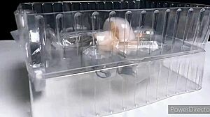 Nanami, Hina, show off those massive anime curves for Q-Six!