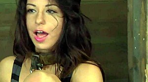 Free Sadomasochism Erotica Stories