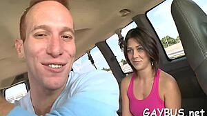 In gay bear scenes, muscular men engage in intense encounters