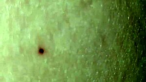 Brett's Trans Cock Deepthroated by Gay Stud