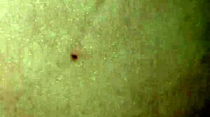 Brett's Trans Cock Deepthroated by Gay Stud