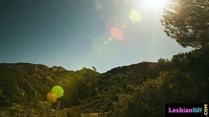 I watch glamour lesbians dine on each other's pussies erotically.