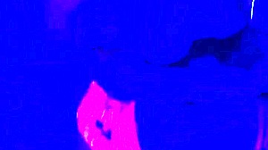 Happy halloween with the couple in costumes.