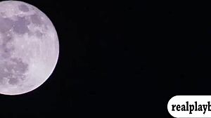 swingers swapped partners for wild orgy at mansion