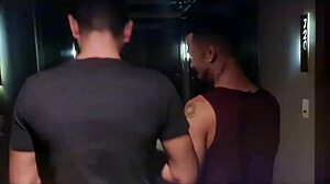 lukas alviti e lucca santanna foram para o hotel para fazer uma putaria com os caras no grindr mas chegando lá o lukas não aguentou e comeu o lucca