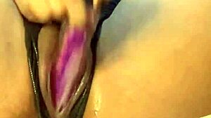 i let my roommate fuck my pussy and cum all over me, rosa vermelha