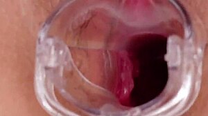 makoto shiraishi shows off her big tits in pussy catalog