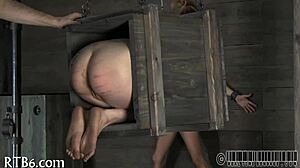 I am bdsm slave wearing collar, ready for punishment.