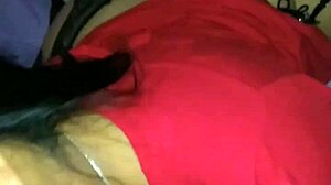 amateur blowjob session with verga