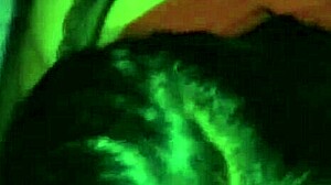 amateur blowjob session with verga