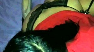 amateur blowjob session with verga