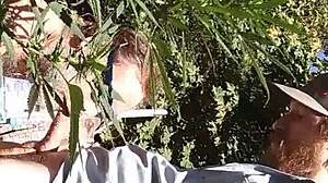 hot gay suck and fuck